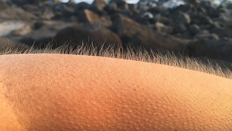 Die aufgestellten Haare zielen darauf ab, Wärme im Körper zu halten.