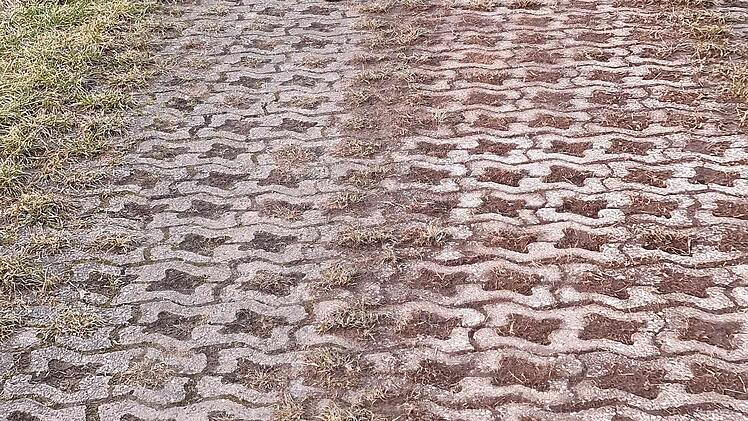 Kreis Coburg: Hundehaufen im Kreis Coburg sorgen für mächtig Ärger - "ober-eklig"