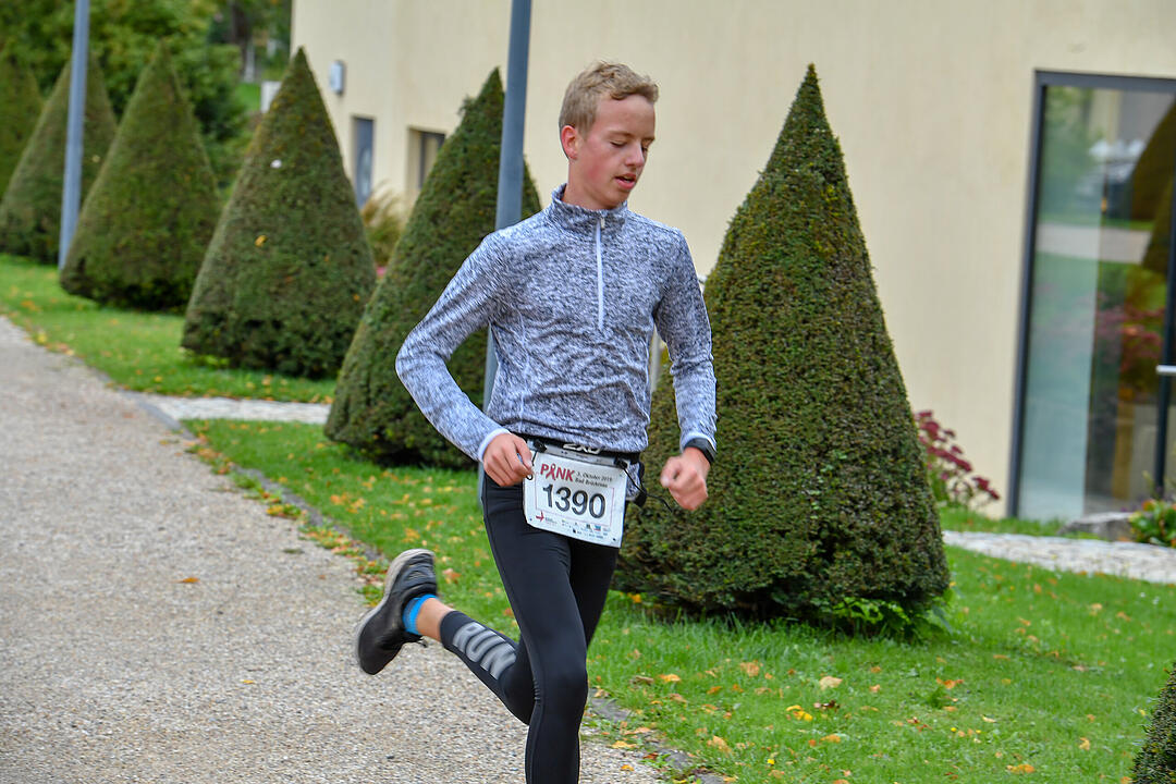 Pinklauf in Bad Brückenau: Rekord erneut geknackt