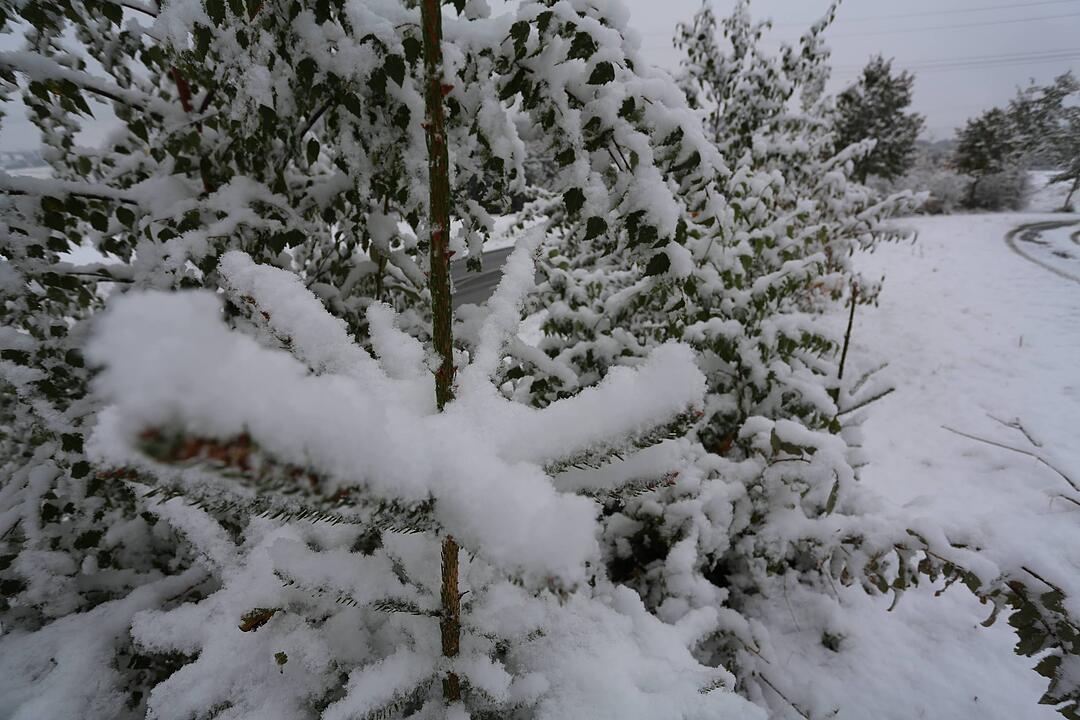 Erster Schneefall in Oberfranken