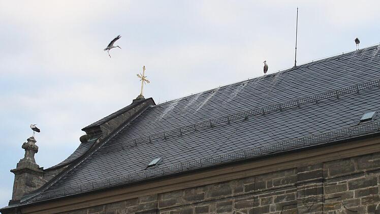 Foto: Heinrich Kattenbeck