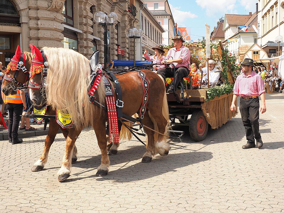 Großer historischer Festzug durch Bad Kissingen!