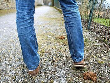 Vorsicht Tretminen! Der Stadtmauerweg ist voller Hundehaufen. Im Dunkeln sollte man ihn deshalb lieber nicht nutzen. Foto: Heike Beudert