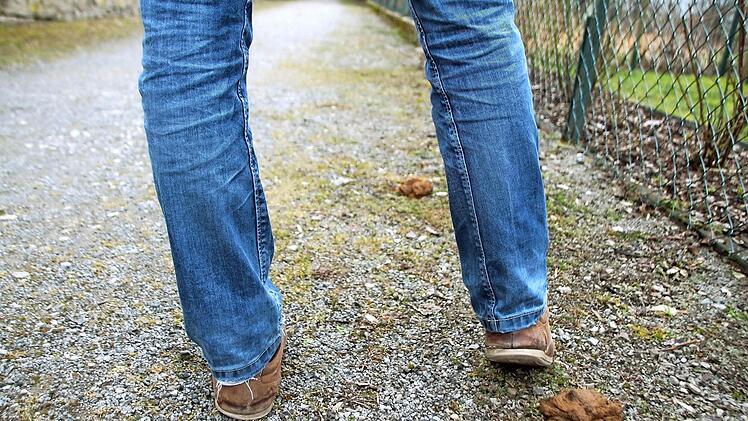 Vorsicht Tretminen! Der Stadtmauerweg ist voller Hundehaufen. Im Dunkeln sollte man ihn deshalb lieber nicht nutzen. Foto: Heike Beudert