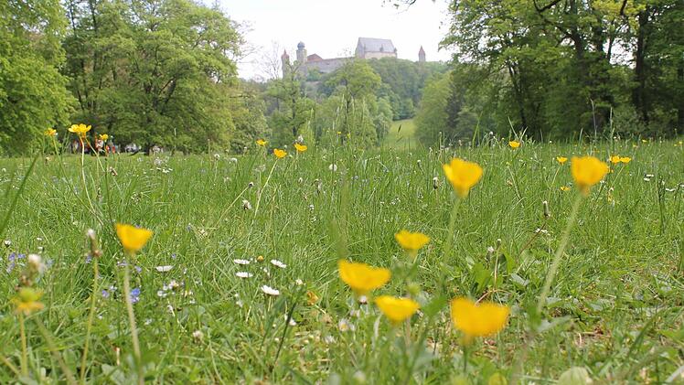 Hofgarten