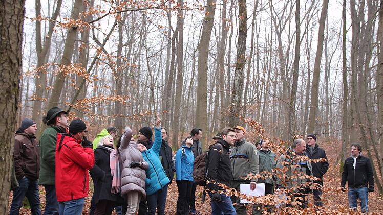 Die Teilnehmer des Waldbegangs sahen sich in Wirmsthal und Euerdorf um. Foto: Hilmar Ruppert