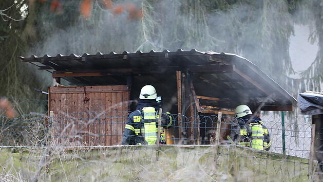 Waldh&uuml;tte in der Ziege lebt brennt