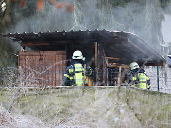 Waldhütte in der Ziege lebt brennt