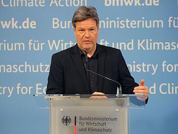 Ökonom sieht Verschwendung hunderter Milliarden bei Habecks Heizplänen