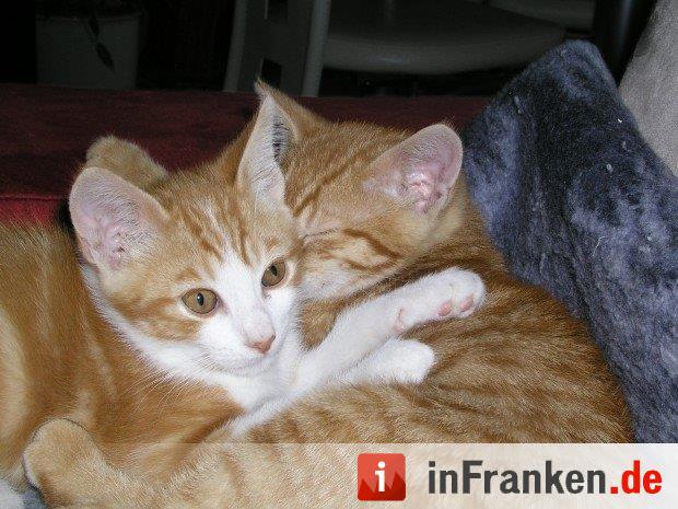 Foto: Heike Bachschneider