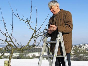 Derzeit ist Ewald Truckenbrodt bereits wieder in den Streuobstwiesen beim Baumschnitt unterwegs.  Foto: Norbert Karbach