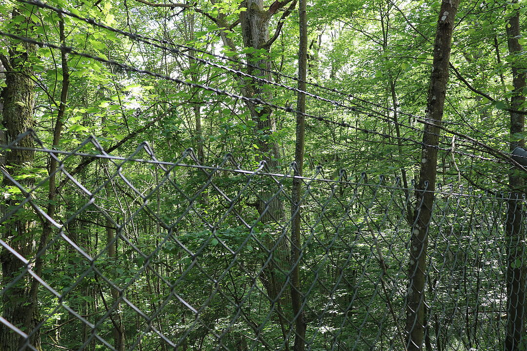 Lost Place US-Waffenbunker im Wald