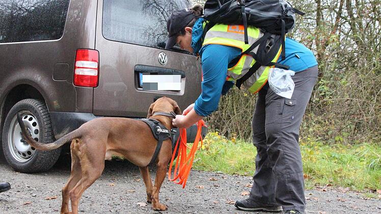 Mit Personenspürhunden verfolgen die Ermittler eine Spur in einem Waldgebiet zwischen Großen- und Kleinbrach Foto: Benedikt Borst