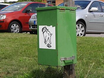 Die für Hundekot gedachten Abfalleimer in Ebern sind meistens leer. Foto: Johanna Eckert