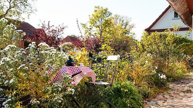 Ein naturnaher Garten steckt voller Überraschungen.