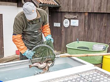 Wie man Fische richtig transportiert, wird in Aufse&szlig; gezeigt. Foto: privat
