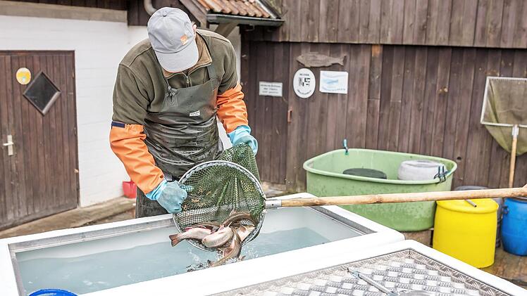 Wie man Fische richtig transportiert, wird in Aufse&szlig; gezeigt. Foto: privat