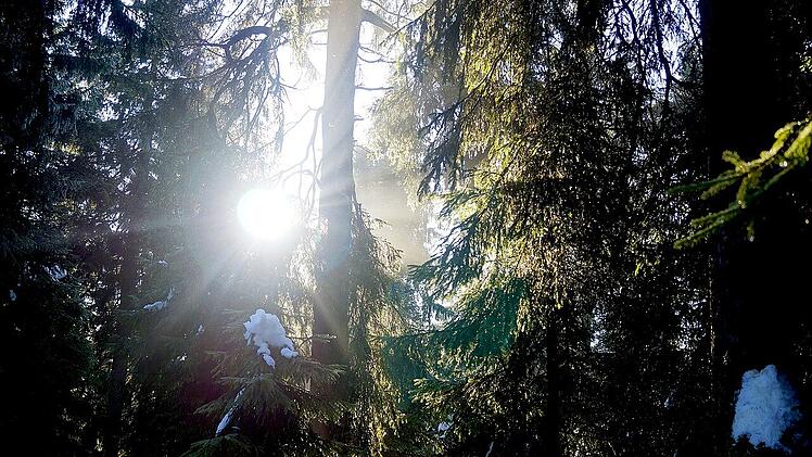 Naturnähe und Entspannung bietet eine Wanderung durch den Winterwald im Fichtelgebirge.