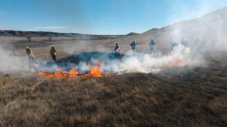 Kontrollierte Feuer in den kanadischen Pr&auml;rien, werden heute im Kampf gegen Waldbr&auml;nde wiederentdeckt.