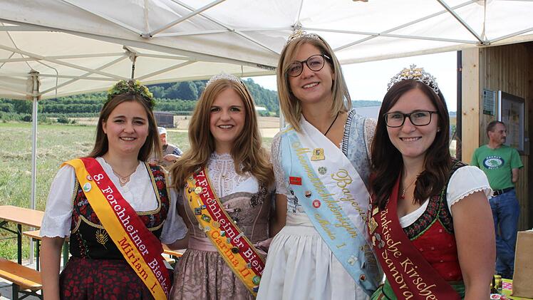 Die Bierkönigin Miriam Leiner, die ehemalige Bierkönigin Carina Schneider, die Meerrettichkönigin Maria Kohlmann und die Kirschenkönigin Sandra Grau Foto: Carmen Schwind