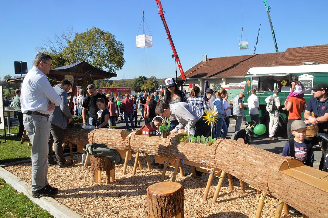 Holztag Scheinfeld 2017