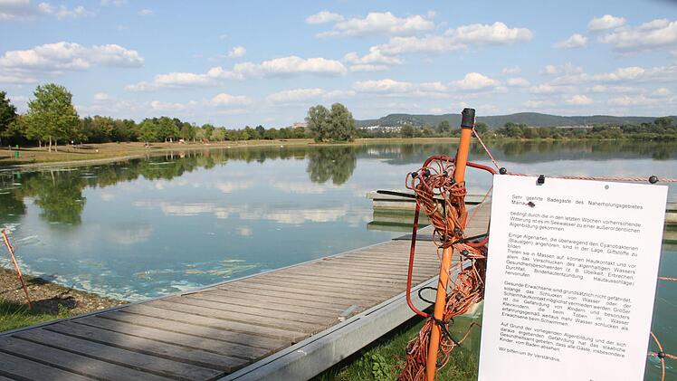 Die Algen k&ouml;nnen zu &Uuml;belkeit, Erbrechen, Durchfall, Bindehautentz&uuml;ndung und Hautausschl&auml;gen f&uuml;hren. Das  Gesundheitsamt empfiehlt, aufs Baden zu verzichten. Foto: Sonny Adam