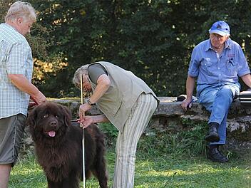 Die Größe des Hundes wird an seinem Widerrist gemessen.  Fotos: Gerd Schaar