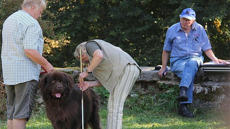 Die Größe des Hundes wird an seinem Widerrist gemessen.  Fotos: Gerd Schaar