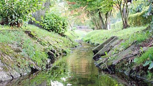Friedlich plätschert der Angerbach  in Richtung Mühlgraben und Rückert-Anlage. Bei starkem Regen am Hambach indes wird er zum reißenden Gewässer. Foto: Ralf Kestel