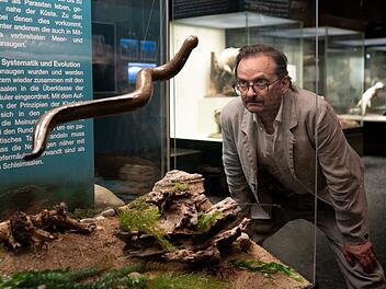 Beim Abgleich der Bissspuren an den Mordopfern mit Bildern im Internet findet Danowski (Milan Peschel) heraus, dass sie von Neunaugen stammen m&uuml;ssen. Im Museum erf&auml;hrt er mehr &uuml;ber die "lebenden Fossilien".