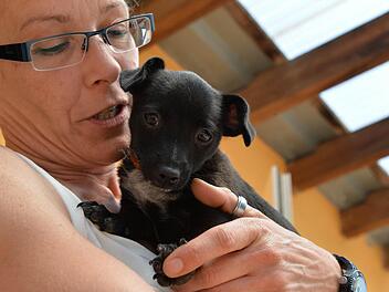 Der Welpe hat Glück: Zusammen mit seiner Mutter wurde er vom Tierheim Berganza aus vermittelt, hier mit Leiterin Elke Pohl. Foto: Ronald Rinklef