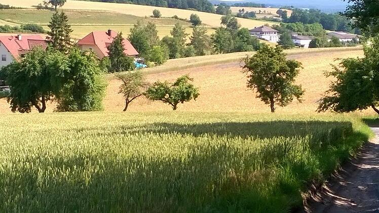Impressionen von den bestehenden Wanderwegen der Gemeinde.Foto: Manfred Sperber