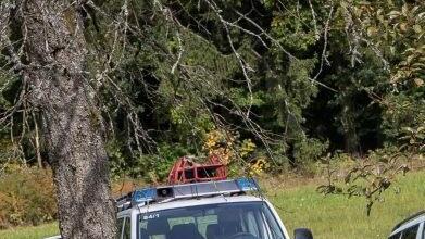 250 Einsatzkräfte waren im Einsatz. Foto: KFV Forchheim