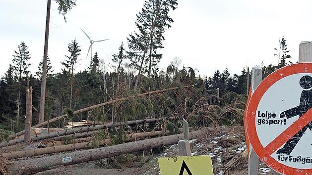 Eine Schneise der Verwüstung hinterließ der Orkan Kyrill, der heute vor 15 Jahren auch durch den Frankenwald fegte.