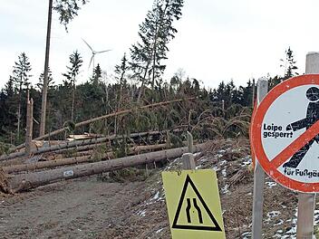Eine Schneise der Verwüstung hinterließ der Orkan Kyrill, der heute vor 15 Jahren auch durch den Frankenwald fegte.