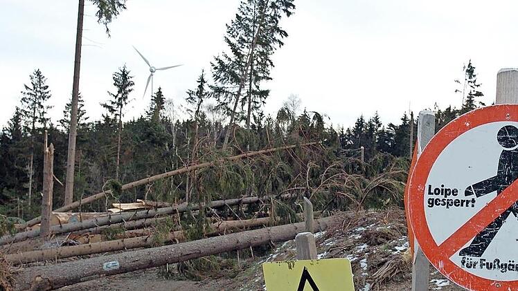 Eine Schneise der Verwüstung hinterließ der Orkan Kyrill, der heute vor 15 Jahren auch durch den Frankenwald fegte.