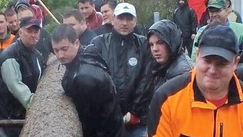 Muskelkraft und Geschick sind beim Baumaufstellen nötig.