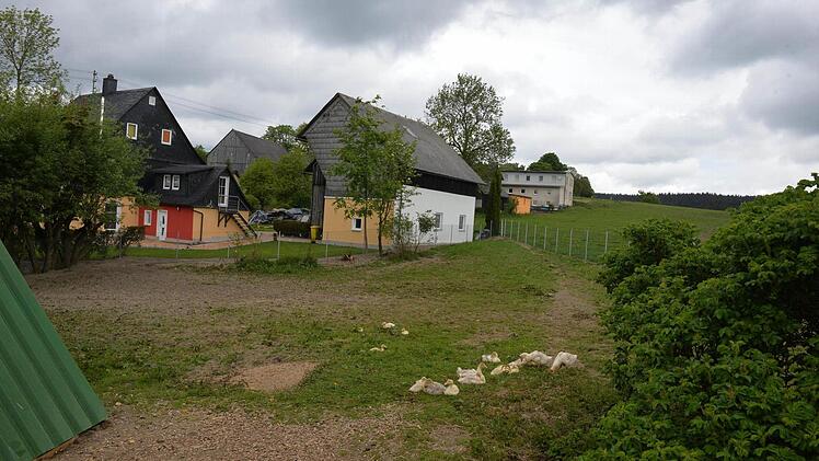 Auch das Federvieh fühlt sich auf dem Daumahof wohl.  Foto: Ronald Rinklef