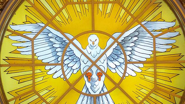 Symbol des Heiligen Geistes: Die Taube ist ein Symbol für Pfingsten