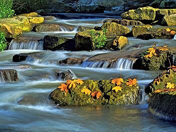 Der Fischpass am Wehr in Marktzeuln bescherte Herbert Steiner den ersten Platz im Monatswettbewerb der Michelauer Hobbyfotografen. Einige attraktiv ausgelegte Blätter im Vordergrund unterstreichen die herbstliche Stimmung.  Foto: Herbert Steiner