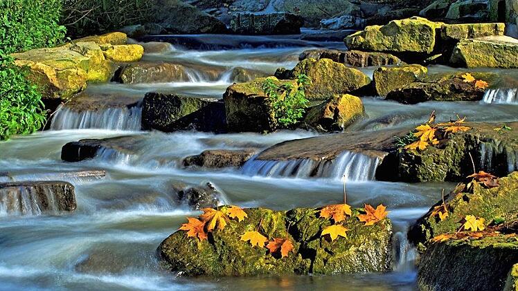Der Fischpass am Wehr in Marktzeuln bescherte Herbert Steiner den ersten Platz im Monatswettbewerb der Michelauer Hobbyfotografen. Einige attraktiv ausgelegte Blätter im Vordergrund unterstreichen die herbstliche Stimmung.  Foto: Herbert Steiner