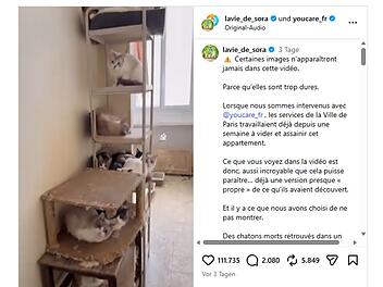 &Uuml;ber 75 Katzen in Pariser Wohnung entdeckt