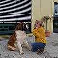 Anders als Menschen können sich Tiere bei starkem Lärm nicht einfach die Ohren zuhalten. Im Bild: Bernhardiner Einstein und die TI-Vorsitzende Britta Merkel Foto: Rebecca Vogt
