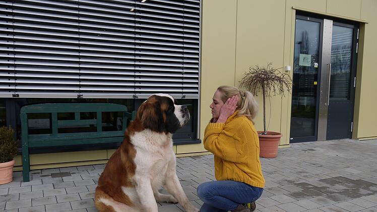 Anders als Menschen können sich Tiere bei starkem Lärm nicht einfach die Ohren zuhalten. Im Bild: Bernhardiner Einstein und die TI-Vorsitzende Britta Merkel Foto: Rebecca Vogt