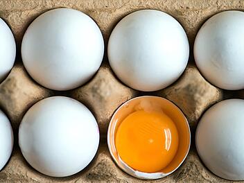 Gut einen Monat nach den ersten Meldungen hat sich die Aufregung um Fipronil vorübergehend gelegt, aber der Skandal zieht immer weitere Kreise.  Foto: dpa