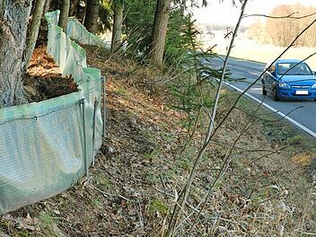 Einer der längsten Amphibienschutzzäune im Coburger Land wird jedes Jahr bei Fürth am Berg betreut. Fotos: Rainer Lutz