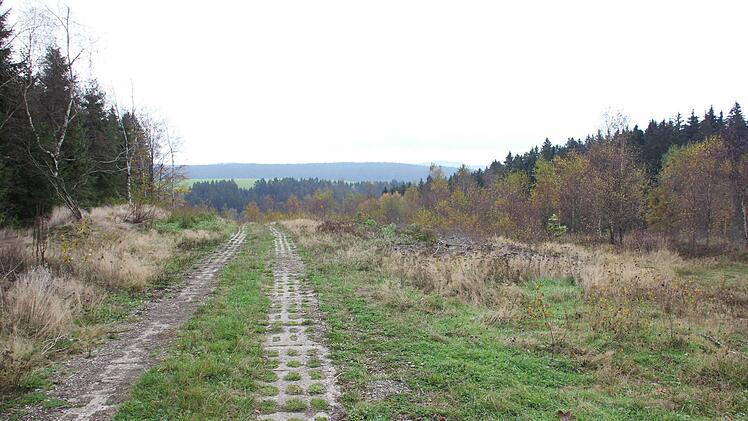 Der Kolonnenweg. Links der Wald auf Thüringer Terrain, in der Mitte der ehemalige Todesstreifen, rechts der Frankenwald. Foto: Friedwald Schedel