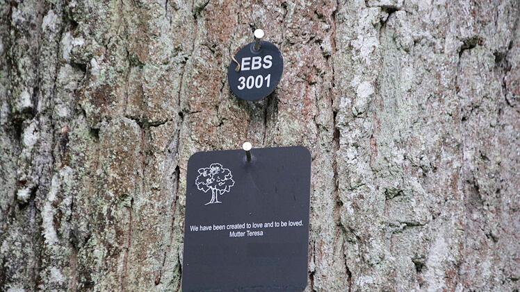 Nur ein Schild und ein Zitat erinnern an den Verstorbenen