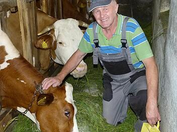 Werner Limmer ist stolz auf Lieblingskuh "Milka" und verteilt gerne Streicheleinheiten. Fotos: Werner Oetter