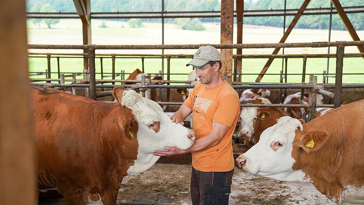Alexander Eber hält seine Kühe in einem konventionellen Milchviehstall. Foto: Adriane Lochner